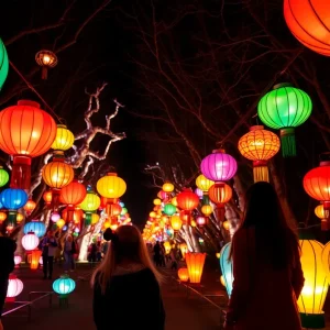 Colorful lanterns glowing at Grand Rapids Lantern Festival