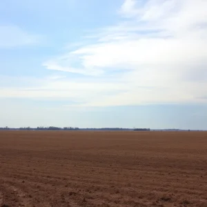 Drought-stricken agricultural fields in West Michigan