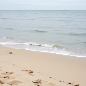 Peaceful view of Lake Michigan beach where recent tragic events occurred.
