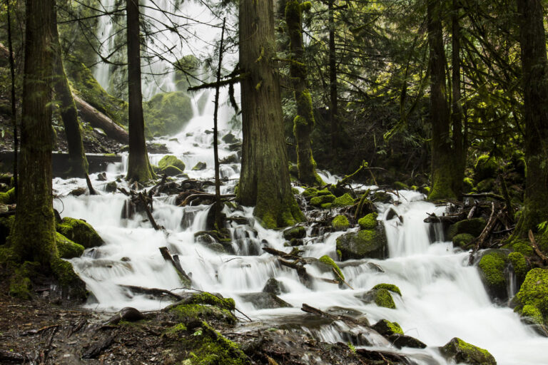 Grand Rapids, Mich.: Grand River dam removal rebuilds rapids