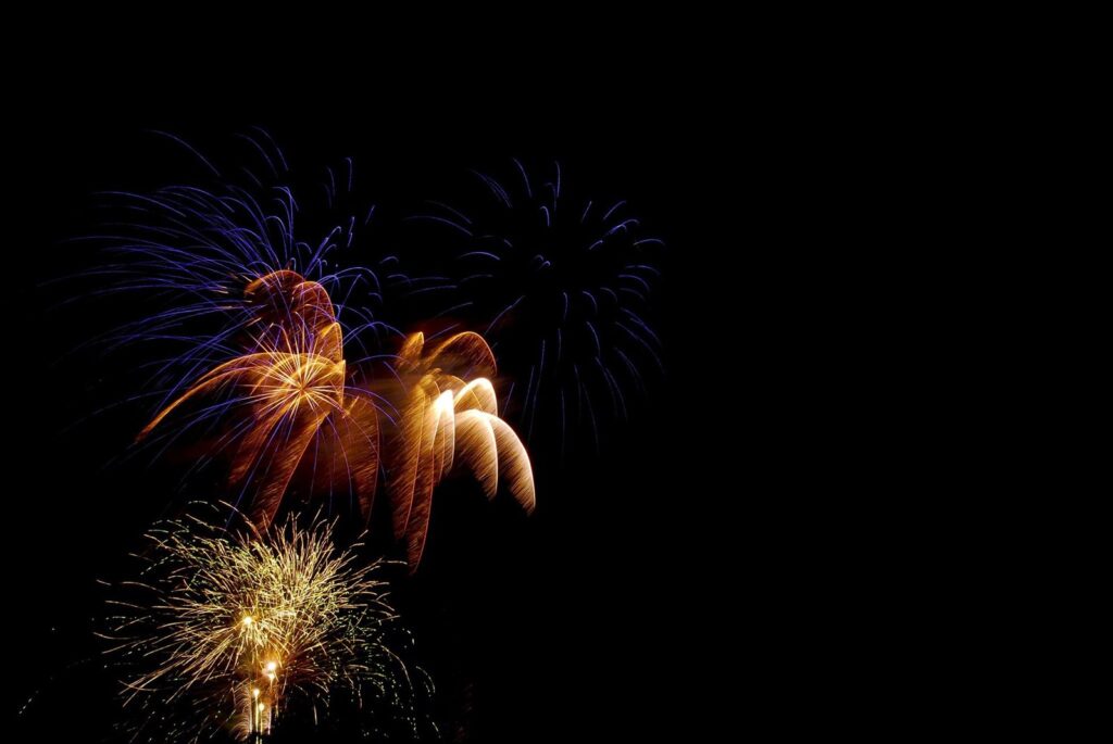 Fireworks bursting in a night sky
